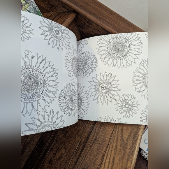 The Fairyland Colouring Book & Fairies in Wonderland 2 Coloring Books for adults - Picture 7 of 11